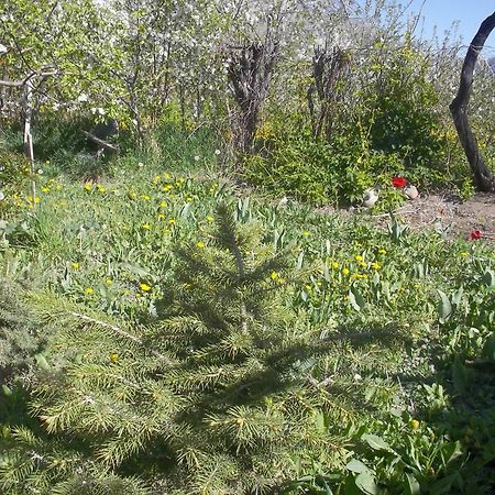 فندق Issyk-Kul - Camping Grigoryevka Grigor'yevka المظهر الخارجي الصورة
