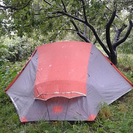 فندق Issyk-Kul - Camping Grigoryevka Grigor'yevka المظهر الخارجي الصورة