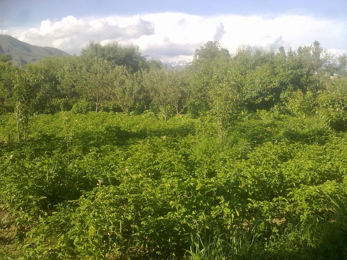 فندق Issyk-Kul - Camping Grigoryevka Grigor'yevka المظهر الخارجي الصورة