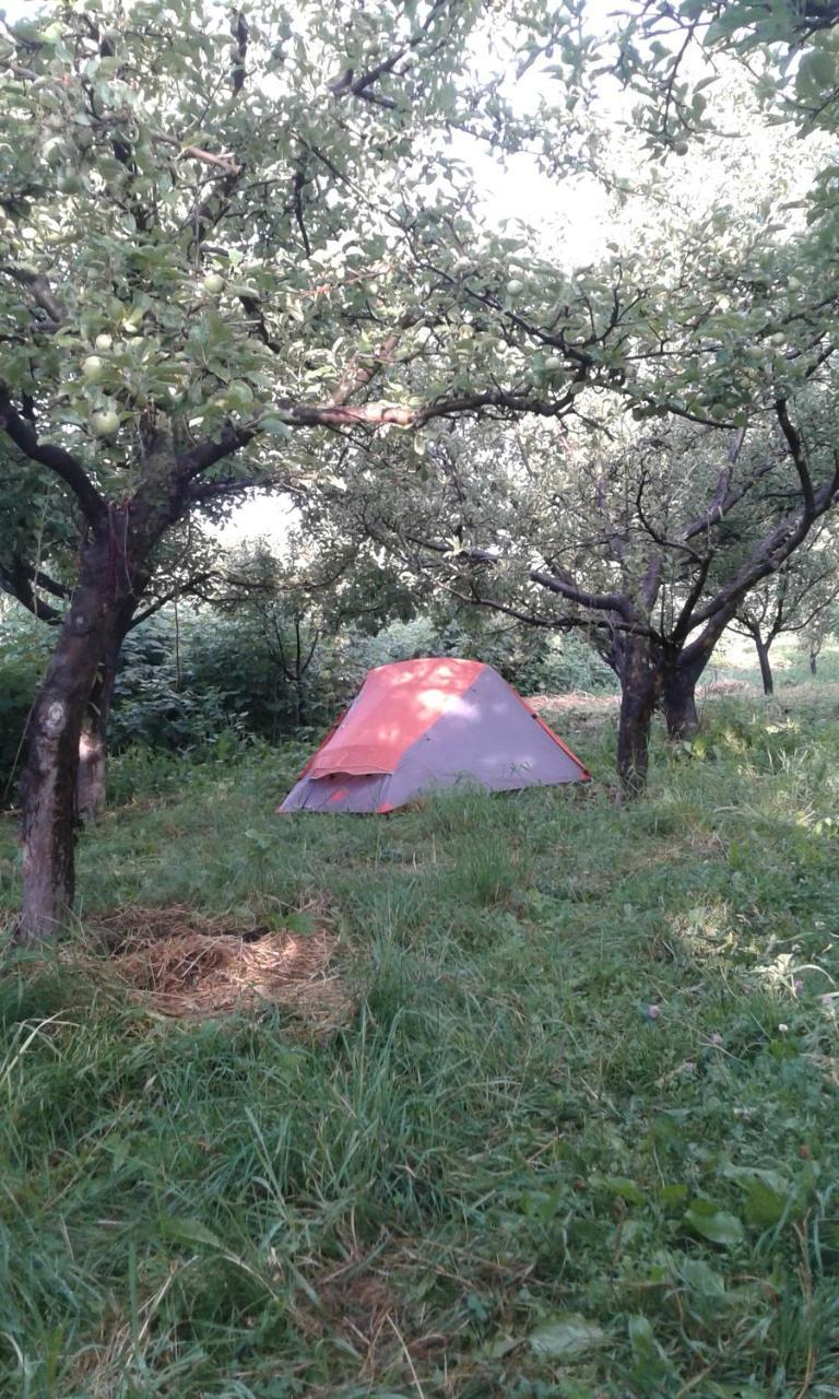 فندق Issyk-Kul - Camping Grigoryevka Grigor'yevka المظهر الخارجي الصورة