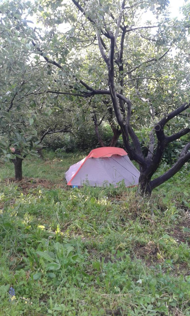 فندق Issyk-Kul - Camping Grigoryevka Grigor'yevka المظهر الخارجي الصورة
