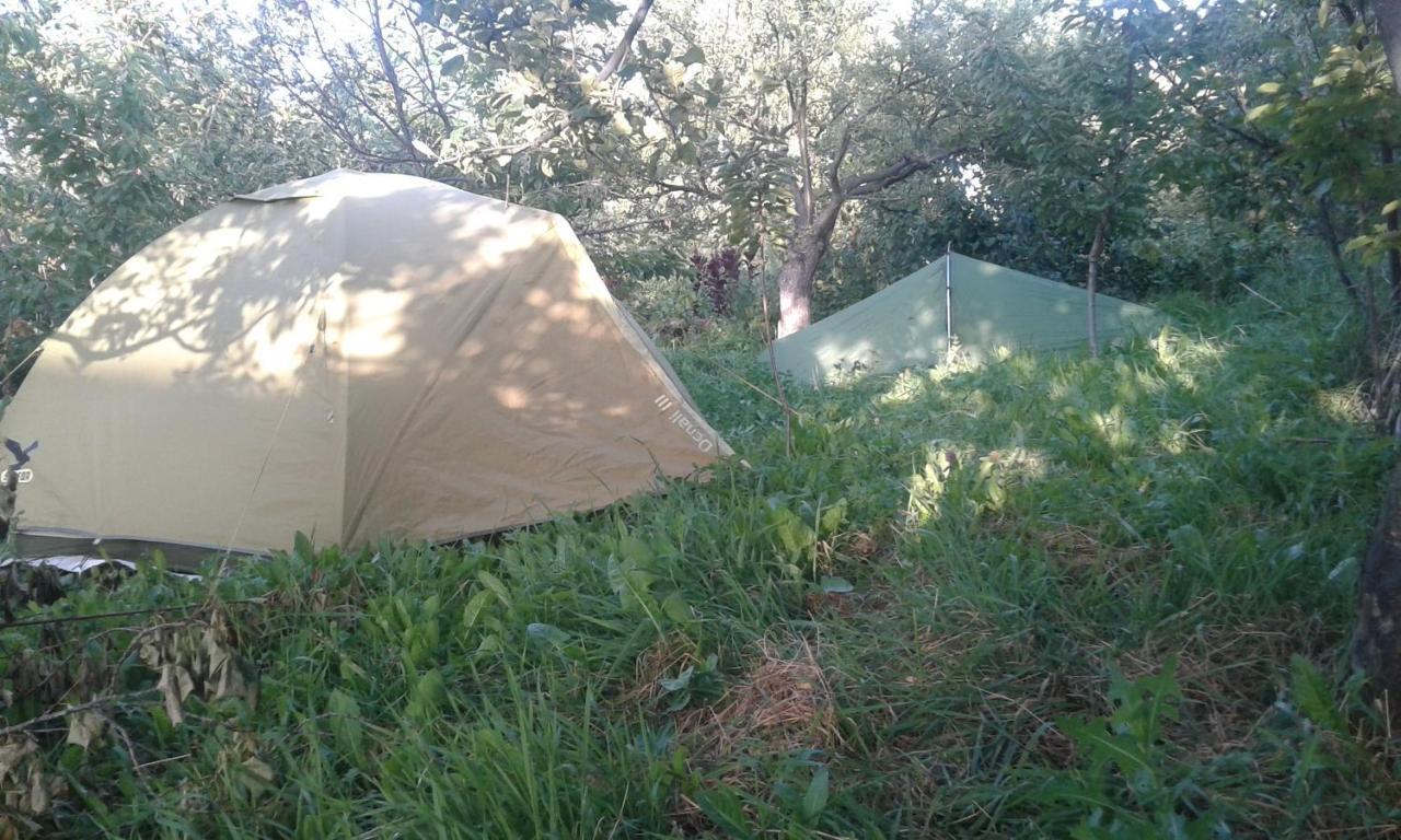 فندق Issyk-Kul - Camping Grigoryevka Grigor'yevka المظهر الخارجي الصورة
