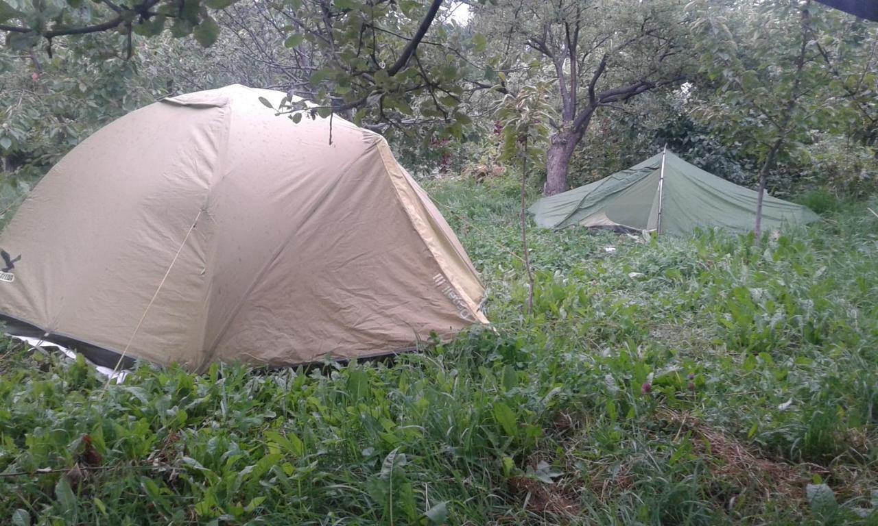 فندق Issyk-Kul - Camping Grigoryevka Grigor'yevka المظهر الخارجي الصورة