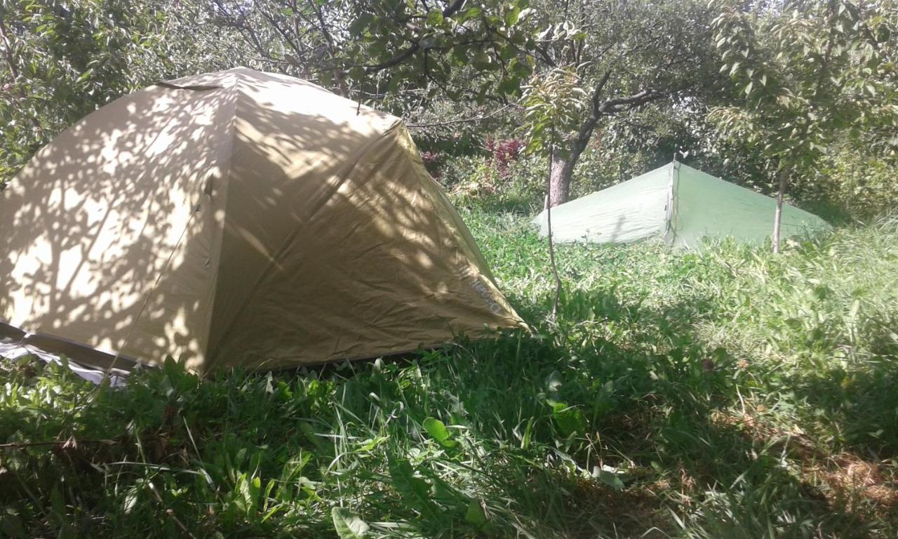 فندق Issyk-Kul - Camping Grigoryevka Grigor'yevka المظهر الخارجي الصورة
